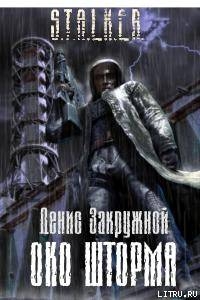 Око шторма - Закружной Денис