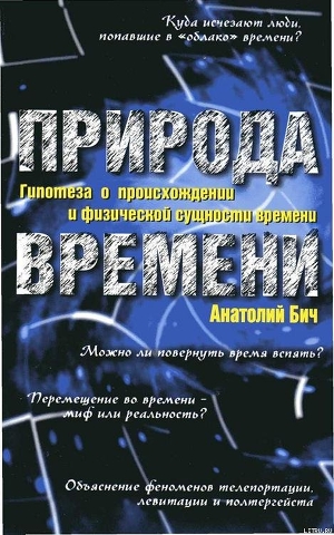 Природа времени: Гипотеза о происхождении и физической сущности времени — Бич Анатолий Макарович