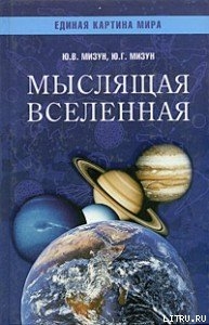 Мыслящая Вселенная - Мизун Юлия Владиславовна