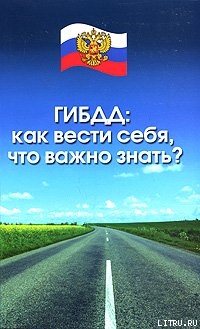 ГИБДД. Как вести себя, что важно знать? — Шалимова Наталия Александровна