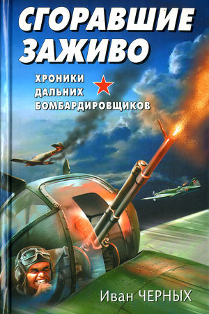 Сгоравшие заживо. Хроники дальних бомбардировщиков - Черных Иван Васильевич