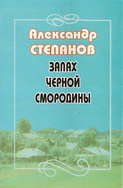 Запах чёрной смородины - Степанов Александр Владимирович