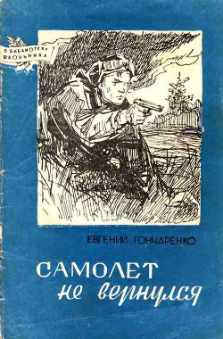 Самолет не вернулся — Гончаренко Евгений Иванович