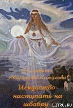 Искусство наступать на швабру — Абаринова-Кожухова Елизавета