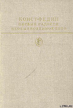 Необыкновенное лето — Федин Константин Александрович