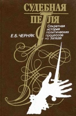 Судебная петля. Секретная история политических процессов на Западе - Черняк Ефим Борисович