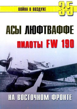 Асы люфтваффе пилоты Fw 190 на Восточном фронте - Иванов С. В.