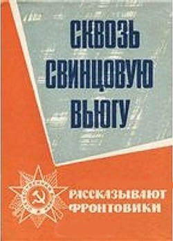 Сквозь свинцовую вьюгу - Пустынцев Николай Петрович