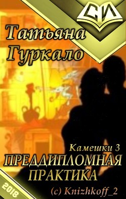 Преддипломная практика (СИ) - Гуркало Татьяна Николаевна