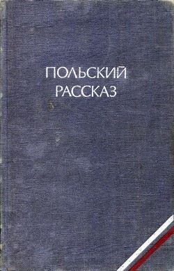 Польский рассказ - Добрачиньский Ян