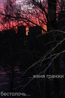 Бестолочь (СИ) - Гранжи Женя