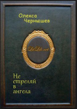 Не стреляй в ангела - Чернышев Олекса