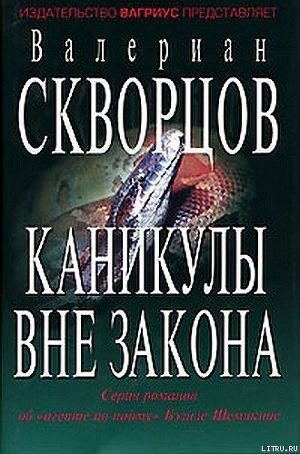 Каникулы вне закона - Скворцов Валериан