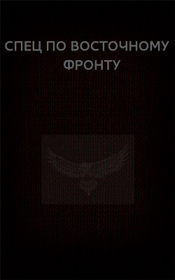 Спец по Восточному фронту (СИ) — Астанин Вадим