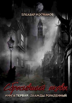 Дважды рожденный (СИ) - Космаков Елеазар
