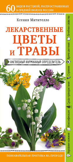 Лекарственные растения и травы. Определитель трав русских лесов и полей - Митителло Ксения