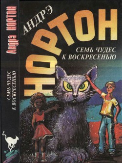 Семь чудес к воскресенью: Мир звёздных ко’отов. Семь чудес к воскресенью. Волшебный дом - Миллер Филлис