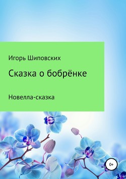 Сказка о бобрёнке - Шиповских Игорь