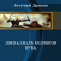 Двенадцать подвигов нуба (СИ) - Летучий Дмитрий Летучий дракон