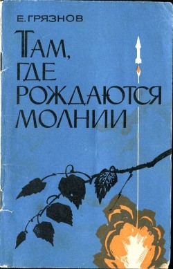 Там, где рождаются молнии - Грязнов Евгений Николаевич