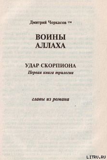 Воины аллаха. Удар скорпиона — Черкасов Дмитрий