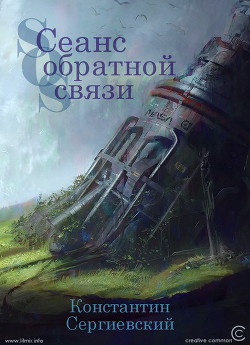 Сеанс обратной связи (СИ) - Сергиевский Константин