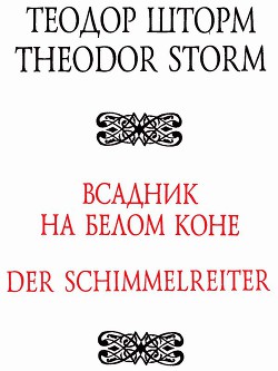 Всадник на белом коне - Шторм Теодор