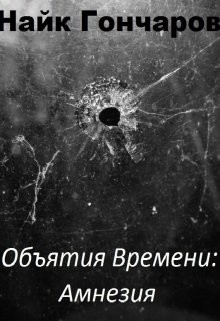 Объятия времени. Амнезия (СИ) - Гончаров Найк Виолеттер