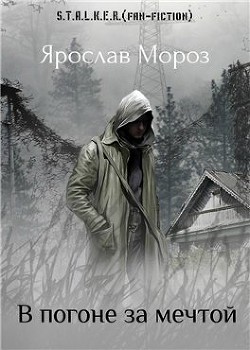 В погоне за мечтой(СИ) - Мороз Ярослав