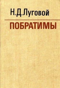 Побратимы — Луговой Николай Дмитриевич