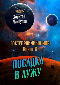 Посадка в лужу (СИ) - Мамбурин Харитон Байконурович