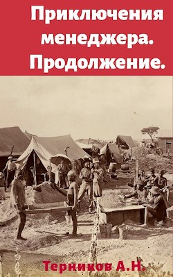 Приключения менеджера. Продолжение (СИ) - Терников Александр Николаевич