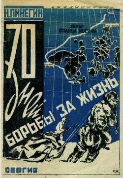 70 дней борьбы за жизнь  — Пинегин Николай Васильевич