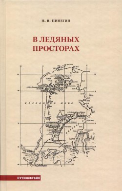 В ледяных просторах - Пинегин Николай Васильевич