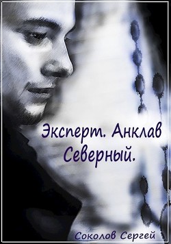 Эксперт. Анклав Северный.(Книга 2) - Соколов Сергей Александрович