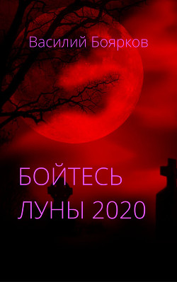 Бойтесь Луны 2020 — Боярков Василий Вячеславович