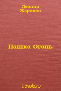 Пашка Огонь - Жариков Леонид Михайлович