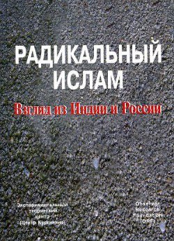 Радикальный ислам. Взгляд из Индии и России — Кургинян Сергей Ервандович