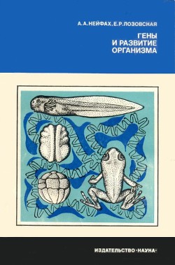 Гены и развитие организма - Лозовская Елена Радиевна