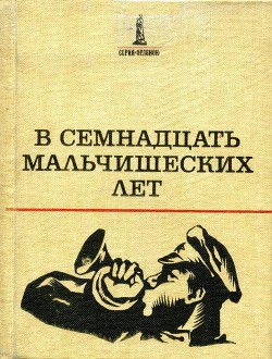 В семнадцать мальчишеских лет - Верзаков Николай Васильевич