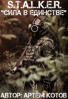 S.T.A.L.K.E.R. Сила в Единстве (СИ) - Котов Артём