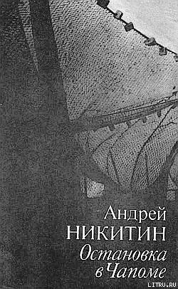 Остановка в Чапоме - Никитин Андрей Леонидович