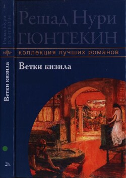 Ветки кизила - Гюнтекин Решад Нури