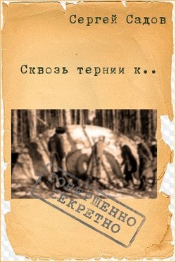 Сквозь тернии к... (СИ) - Садов Сергей Александрович