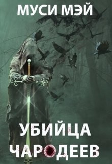Убийца чародеев (СИ) - Лис Алекс Муси Мэй