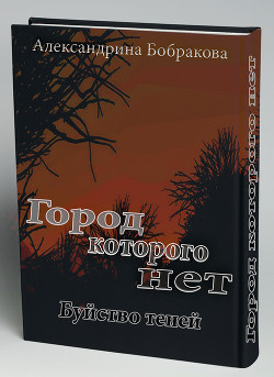 Город которого нет. Буйство теней (СИ) — Бобракова Александрина Николаевна 