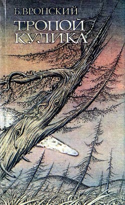 Тропой Кулика (Повесть о Тунгусском метеорите) - Вронский Борис Иванович