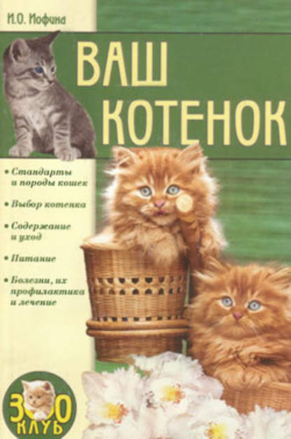 Ваш котенок — Ирина Иофина