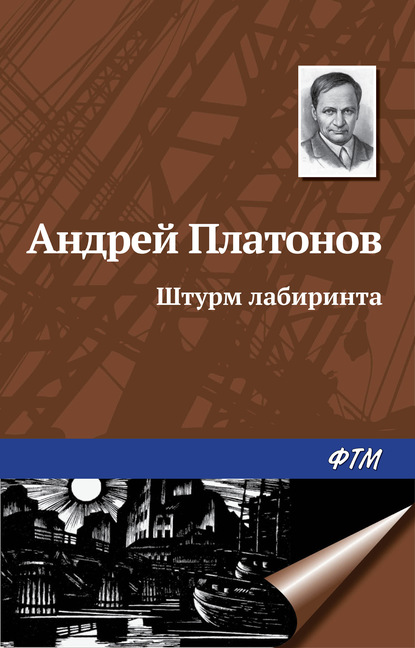 Штурм лабиринта - Андрей Платонов