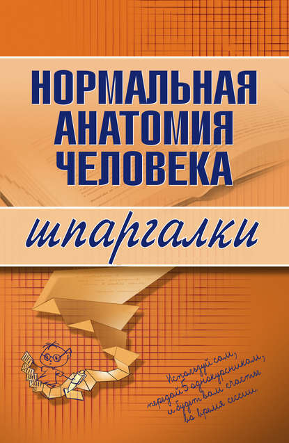 Нормальная анатомия человека — Максим Васильевич Кабков